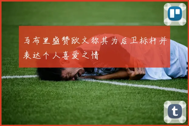 马布里盛赞欧文称其为后卫标杆并表达个人喜爱之情
