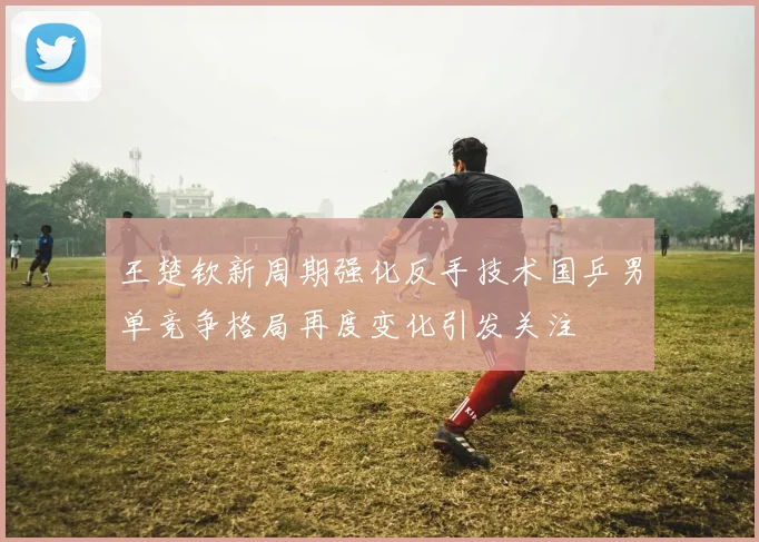 王楚钦新周期强化反手技术国乒男单竞争格局再度变化引发关注