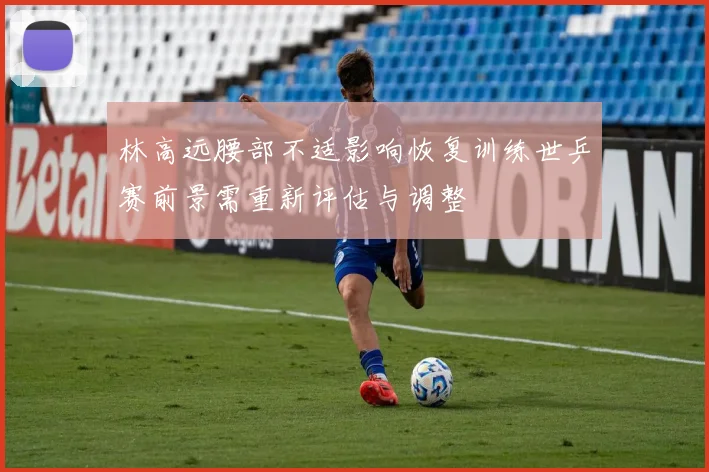林高远腰部不适影响恢复训练世乒赛前景需重新评估与调整